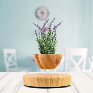 magnetic "floating" planter